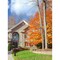 Z-Lite Helix 1 Light Outdoor Post Mounted Fixture, Black And Clear Seedy 591PHB-519P-BK - alternate 7